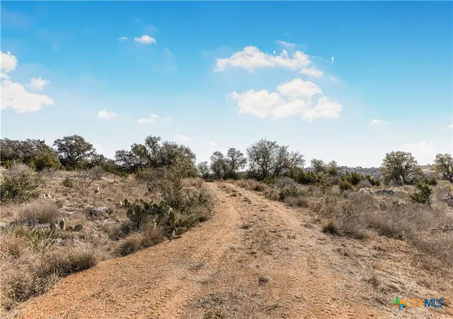 2nd image of Lot 48 Inksview Ln, Kingsland, TX 78639 | MLS# 603491