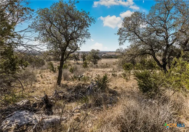 Photo 3 of Land for sale at Lot 48 Inksview Ln, Kingsland, TX 78639 | MLS# 603491 | Listing updated on 2026-02-11