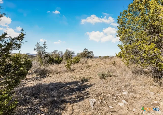 Photo 3 of Land for sale at Lot 48 Inksview Ln, Kingsland, TX 78639 | MLS# 603491 | Listing updated on 2026-02-11