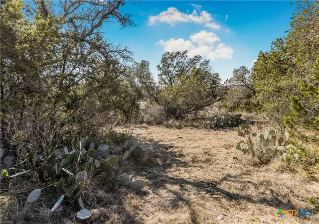 Photo 4 of Land for sale at Lot 48 Inksview Ln, Kingsland, TX 78639 | MLS# 603491 | Listing updated on 2026-02-11