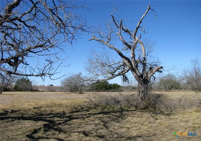 Photo 2 of Land for sale at Tbd Lot 4 Old Pidcoke Rd, Gatesville, TX 76528 | MLS# 604149 | Listing updated on 2026-02-10