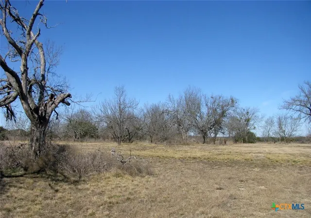 Photo 3 of Land for sale at Tbd Lot 4 Old Pidcoke Rd, Gatesville, TX 76528 | MLS# 604149 | Listing updated on 2026-02-10