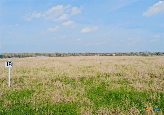 1st image of Tbd Cr 240/easement, Gonzales, TX 78629 | MLS# 604296