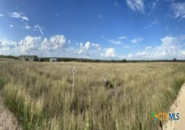 27th image of Tbd Cr 240/easement, Gonzales, TX 78629 | MLS# 604296