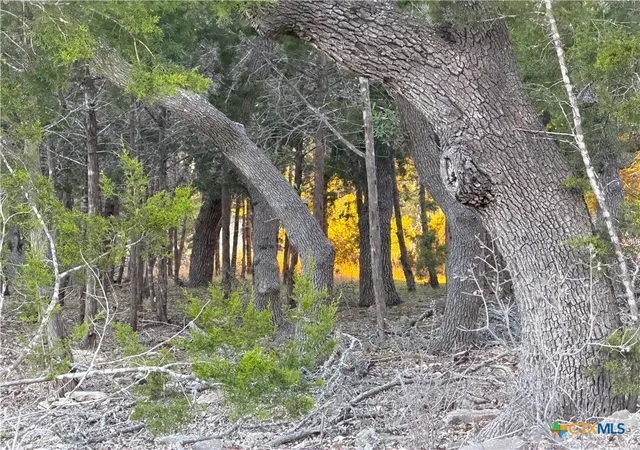 Photo 4 of Land for sale at 209 Legacy Ridge, Canyon Lake, TX 78133 | MLS# 604106 | Listing updated on 2026-06-16