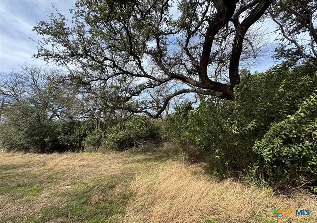 Homes for sale in Belton, TX | Tbd Arrowhead Point Rd, Belton, TX 76513 | MLS# 604837