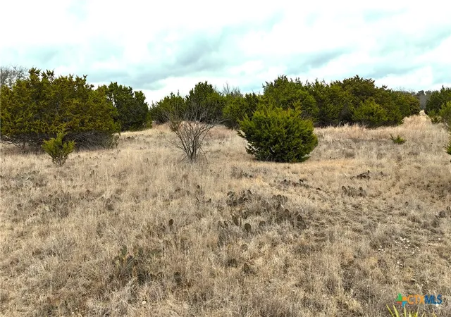5th image of 0000 Cr 3390, Kempner, TX 76539 | MLS# 604073