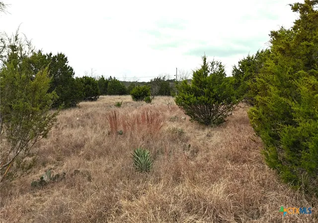 7th image of 0000 Cr 3390, Kempner, TX 76539 | MLS# 604073