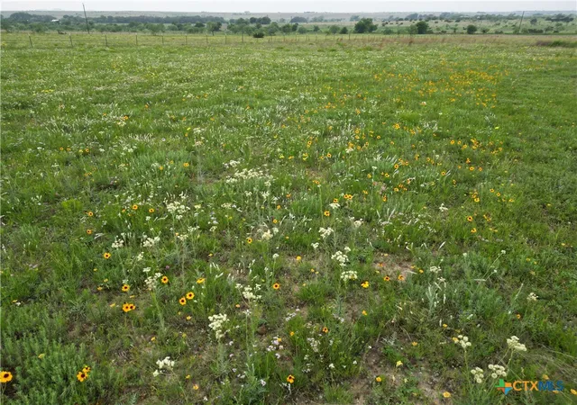 Photo 2 of Land for sale at 2332 County Rd 2109, Lometa, TX 76853 | MLS# 605305 | Listing updated on 2026-07-24