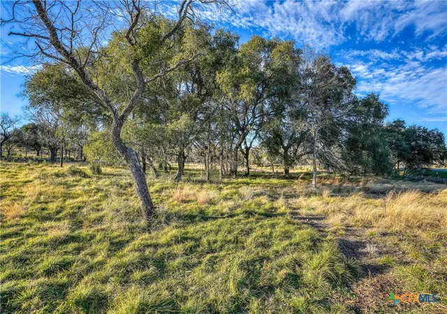 Photo 3 of Land for sale at 1010 Ranch Rd 2831, Marble Falls, TX 78657 | MLS# 605625 | Listing updated on 2026-02-26