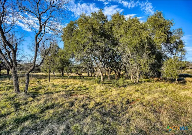 Photo 3 of Land for sale at 1010 Ranch Rd 2831, Marble Falls, TX 78657 | MLS# 605625 | Listing updated on 2026-02-26