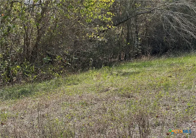 4th image of 709 Locust St, Bastrop, TX 78602 | MLS# 605960