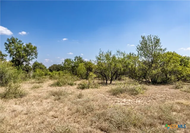 Homes for sale in Dale, TX | Tbd Lot 2 Track Rd, Dale, TX 78616 | MLS# 601470