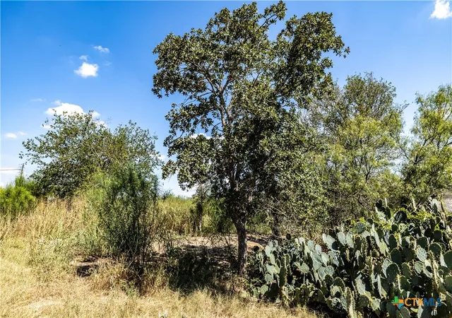 Homes for sale in Dale, TX | Tbd Lot 2 Track Rd, Dale, TX 78616 | MLS# 601470