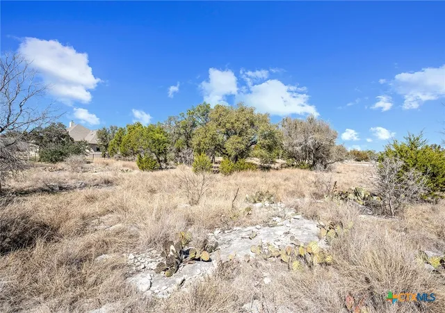 Homes for sale in Spicewood, TX | 105 Rocky Summit Ct, Spicewood, TX 78669 | MLS# 606132