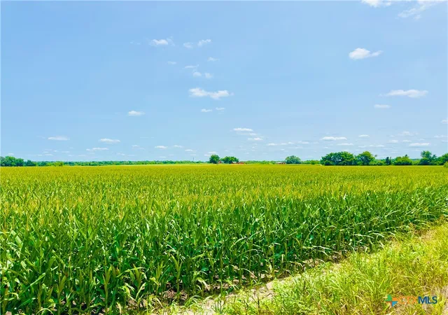 Photo 1 of Sale Pending at Tbd2 Cr 406, Buckholts, TX 76518 | MLS# 606314 | Listing updated on 2026-07-24