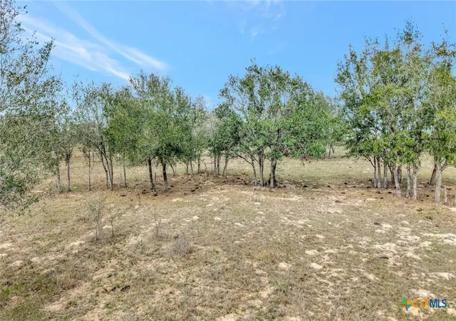 Photo 3 of Land for sale at 1103 Berger Rd, Goliad, TX 77963 | MLS# 606627 | Listing updated on 2026-06-15