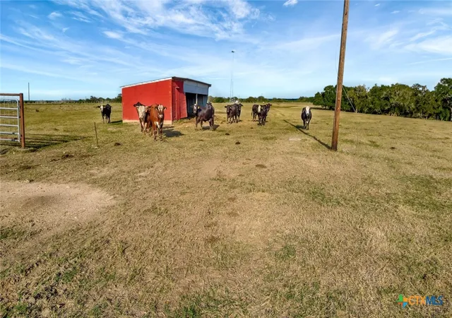 20th image of 000 County Road 1, Hallettsville, TX 77964 | MLS# 606892
