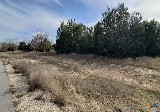 3rd image of 410 King Ranch Trl, Copperas Cove, TX 76522 | MLS# 607282