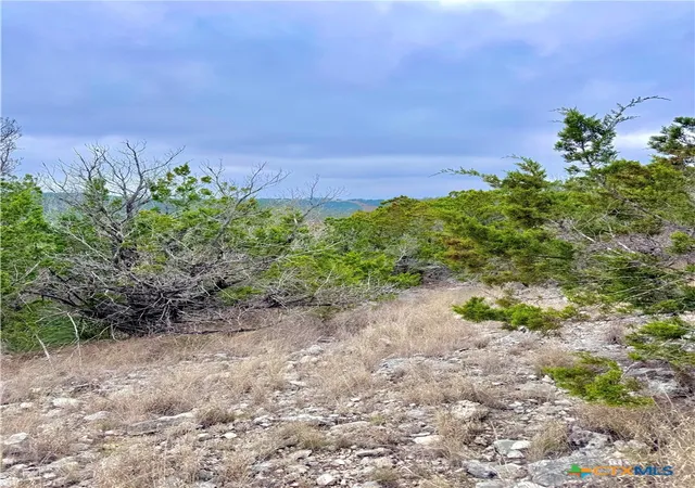 3rd image of 424 Armadillo Trail Dr, Comfort, TX 78013 | MLS# 607524
