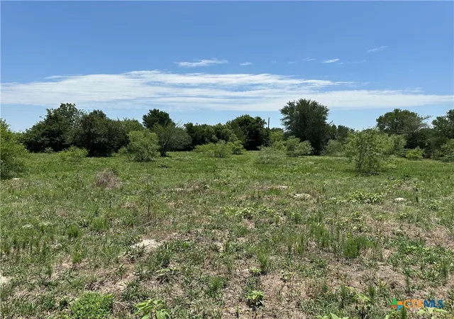 12th image of Tract 3d Hwy 95, Smithville, TX 78957 | MLS# 607612