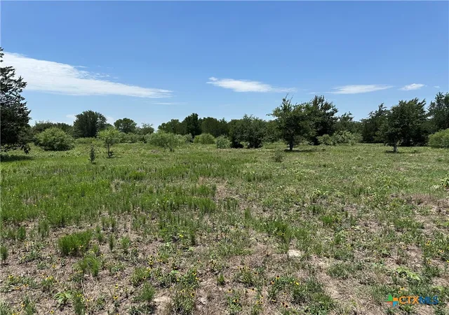 2nd image of Tract 3d Hwy 95, Smithville, TX 78957 | MLS# 607612