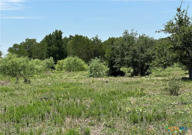 4th image of Tract 3D Hwy 95, Smithville, TX 78957 | MLS# 607612