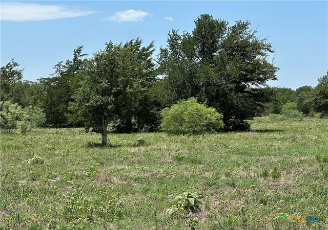 5th image of Tract 3D Hwy 95, Smithville, TX 78957 | MLS# 607612