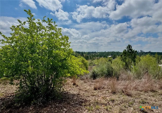 Photo 1 of Land for sale at Tbd Hudson Rd, Smithville, TX 78957 | MLS# 608574 | Listing updated on 2026-03-26