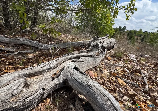 Photo 3 of Land for sale at Tbd Hudson Rd, Smithville, TX 78957 | MLS# 608574 | Listing updated on 2026-03-26