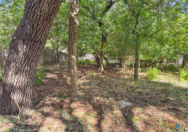 2nd image of 105 Yaupon Ct, San Marcos, TX 78666 | MLS# 608683