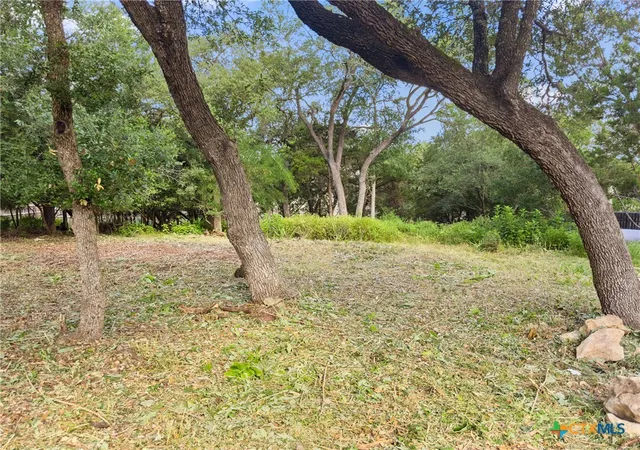 3rd image of 105 Yaupon Ct, San Marcos, TX 78666 | MLS# 608683