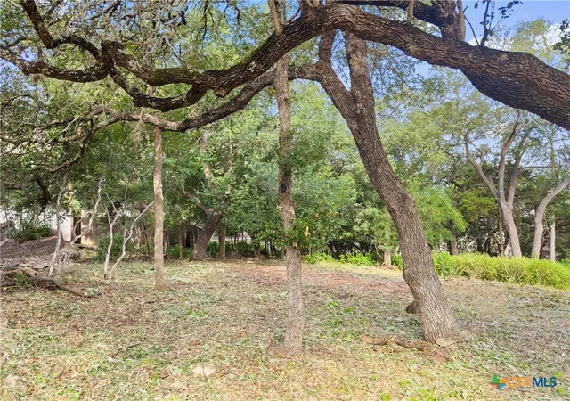 4th image of 105 Yaupon Ct, San Marcos, TX 78666 | MLS# 608683