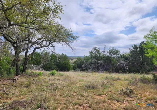 Homes for sale in Goldthwaite, TX | Tbd County Road 402, Goldthwaite, TX 76844 | MLS# 608807