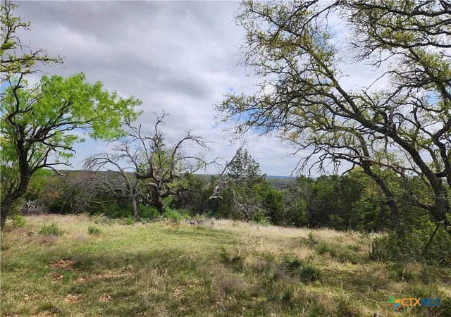 Homes for sale in Goldthwaite, TX | Tbd County Road 402, Goldthwaite, TX 76844 | MLS# 608807