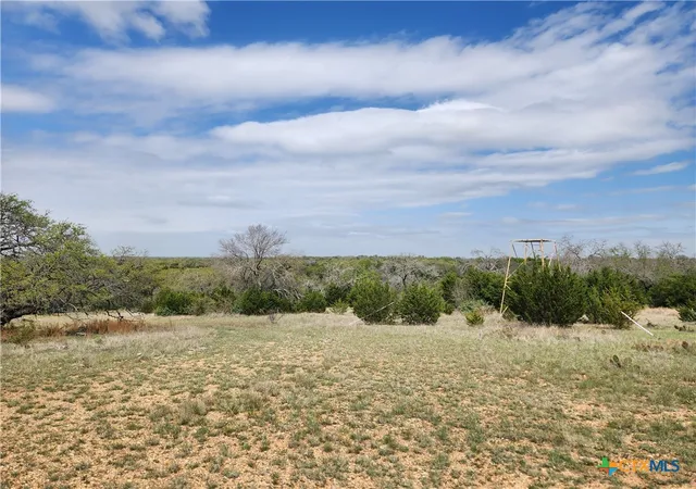 Homes for sale in Goldthwaite, TX | Tbd County Road 402, Goldthwaite, TX 76844 | MLS# 608807