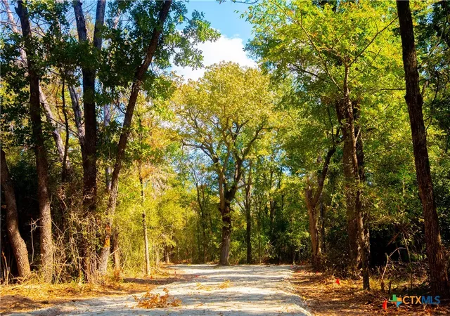 Photo 3 of Land for sale at 12344 Red Hl, Hearne, TX 77859 | MLS# 608861 | Listing updated on 2026-07-15