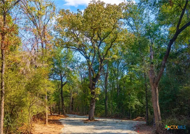Photo 4 of Land for sale at 12344 Red Hl, Hearne, TX 77859 | MLS# 608861 | Listing updated on 2026-07-15