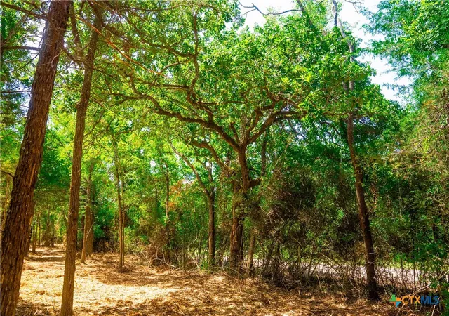 8th image of 12344 Red Hill, Hearne, TX 77859 | MLS# 608861