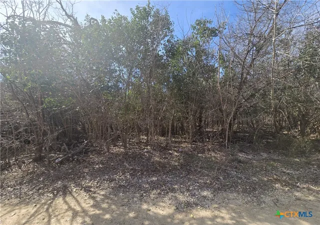 Photo 2 of Land for sale at Tbd Estate Trl, Belton, TX 76513 | MLS# 608880 | Listing updated on 2026-03-31