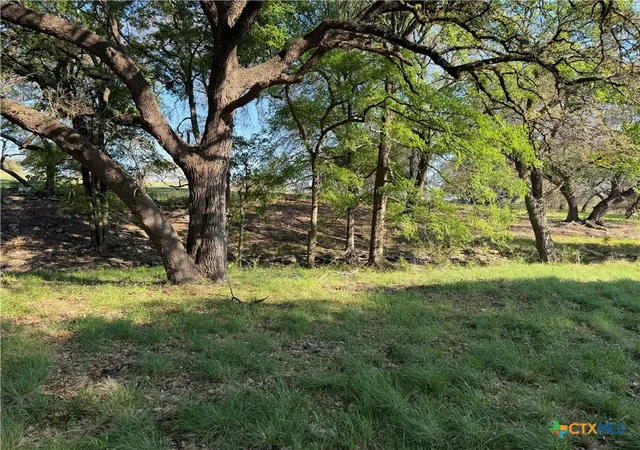 Homes for sale in Oglesby, TX | 118 Guadalupe Dr, Oglesby, TX 76561 | MLS# 609494