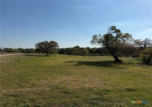 Homes for sale in Oglesby, TX | 118 Guadalupe Dr, Oglesby, TX 76561 | MLS# 609494