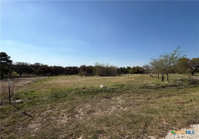 Homes for sale in Oglesby, TX | 118 Guadalupe Dr, Oglesby, TX 76561 | MLS# 609494