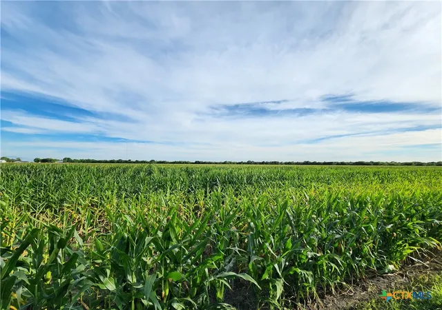 Photo 1 of Land for sale at 4007 Lone Tree Rd, Victoria, TX 77901 | MLS# 608531 | Listing updated on 2026-04-08