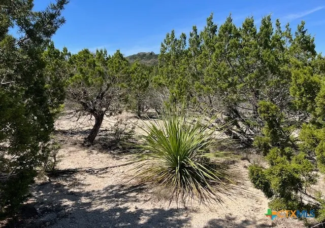 3rd image of Tbd Lakepark Dr, Pipe Creek, TX 78063 | MLS# 607665