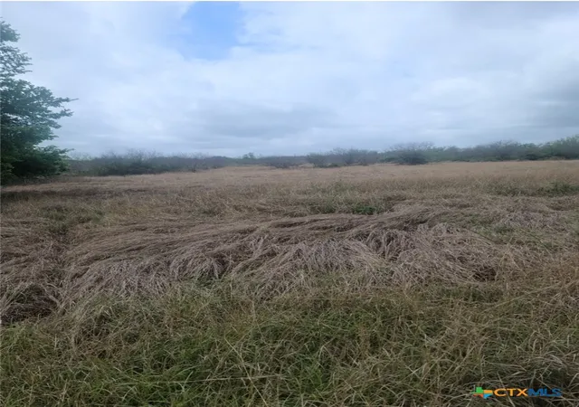 Photo 4 of Land for sale at Tbd Zac Lentz Pkwy, Victoria, TX 77904 | MLS# 609886 | Listing updated on 2026-04-16
