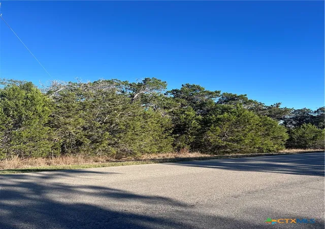 2nd image of 684 Spring St, Spring Branch, TX 78070 | MLS# 609941