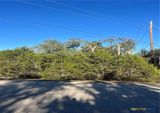 Photo 4 of Land for sale at 684 Spring St, Spring Branch, TX 78070 | MLS# 609941 | Listing updated on 2026-07-07
