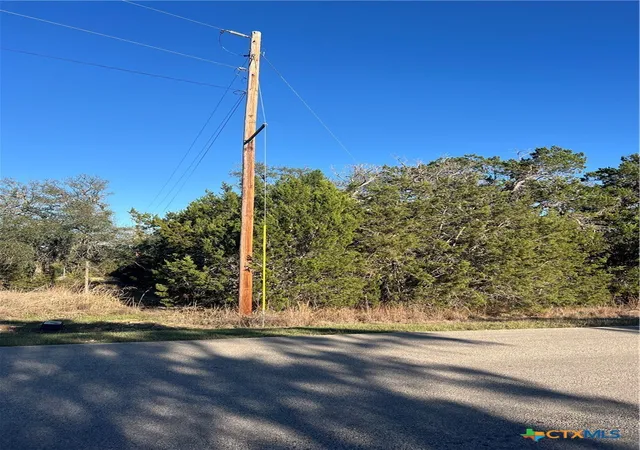 6th image of 684 Spring St, Spring Branch, TX 78070 | MLS# 609941