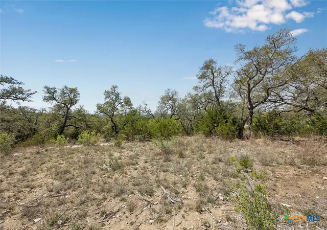 3rd image of 1078 Madrone Rd, Fischer, TX 78623 | MLS# 610078